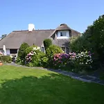 Strandnelke Westerland