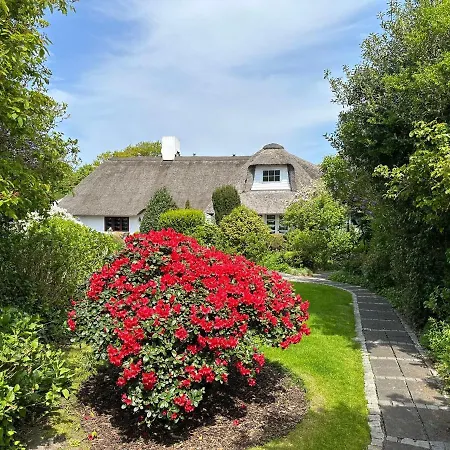 Appartement Strandnelke
