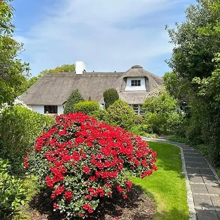 Strandnelke Apartment