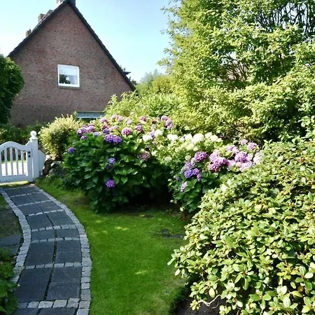 Strandnelke Westerland